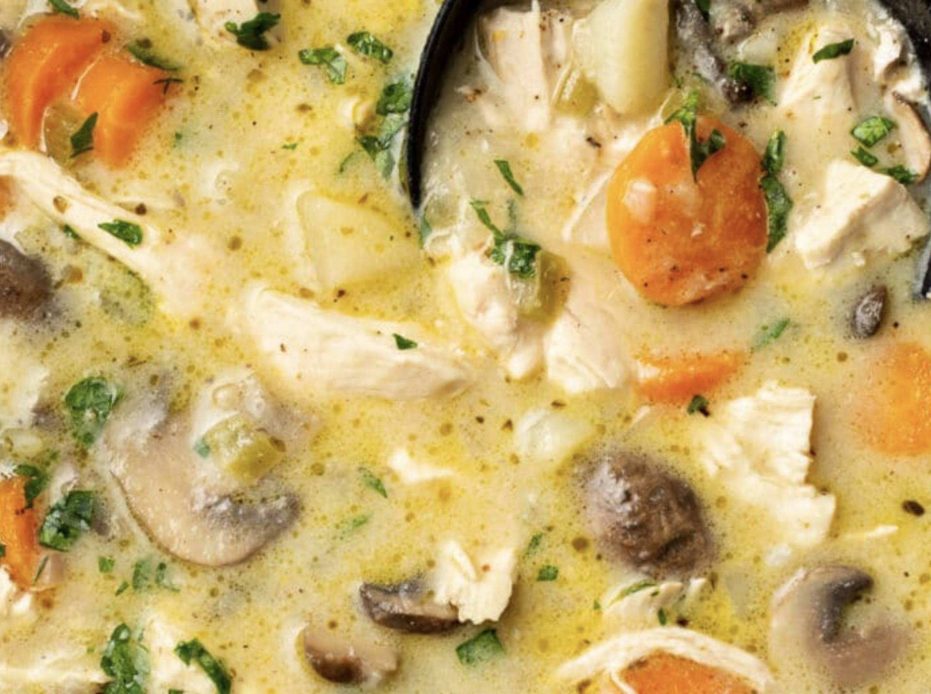 Warm Home Style Chicken with Gravy with Potatoes and Carrots